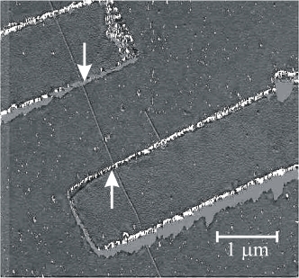 Atomic force microscope (AFM) image of a CNT