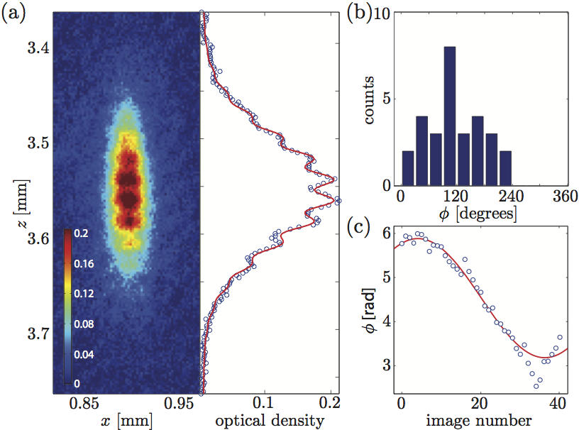 FGBS phase analysis