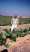 mizrahi_at_landscape.jpg