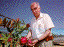 p26.gif