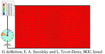 FE simulation of a composite EAP