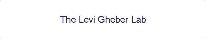 The Levi Gheber Lab
