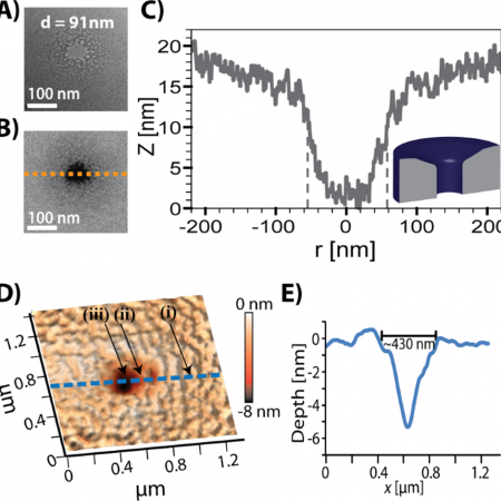 Top view TEM bright field image of nanopores prepared by FEBIE is shown in A, together with thickness map extracted from the EELS signal (B). A cross section of the membrane thickness obtained from the EELS (C) signal and AFM image (D) and its cross section have allowed us to determine the shape of the nanopores as illustrated in the inset of panel C.