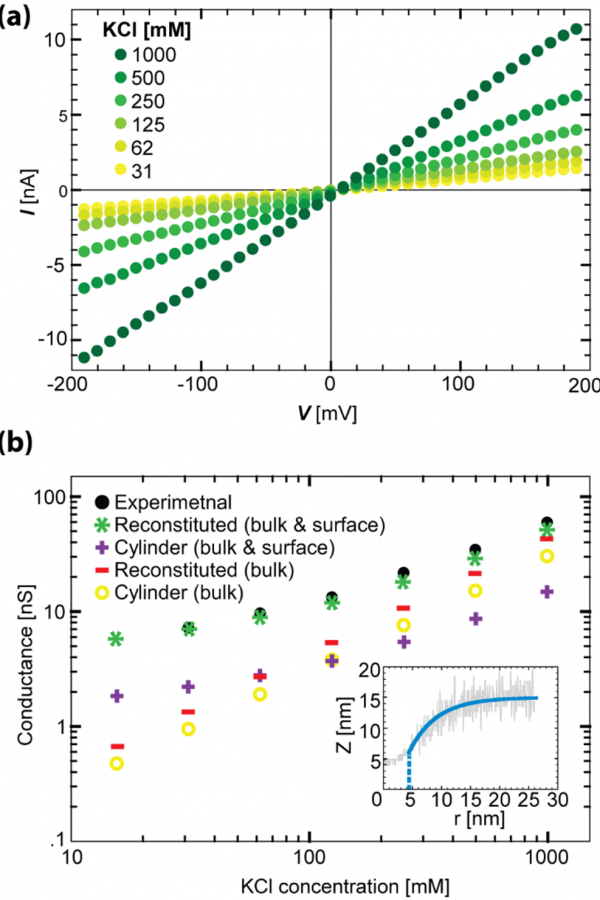 Current-voltage of the same pore as function of ionic strength are shown above. Conductance values were extracted from fitting (a). The resulting shape, and its comparison to the shape extracted from the TEM analysis are shown in the inset.